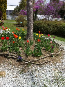 館ヶ森アーク牧場