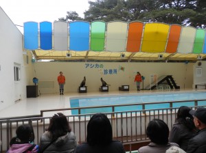 アシカショー