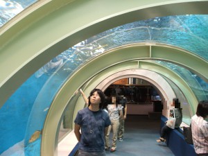 浅虫水族館