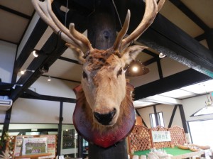 館ヶ森アーク牧場 お土産