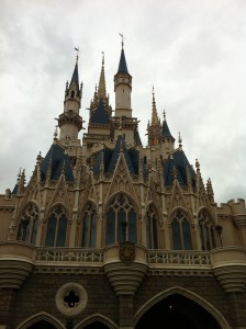 ディズニーランド (11)