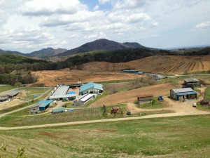 モーランド本吉 (14)